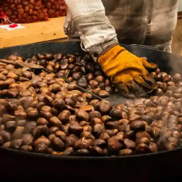 alla-scoperta-della-coop-del-marrone