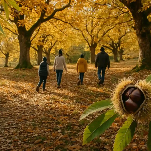 passeggiata-nei-castagneti-coop-del-marrone